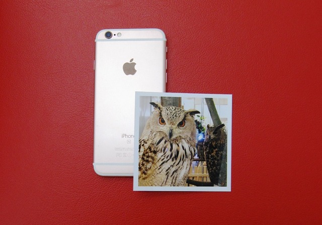 カメラ の キタムラ 妙典