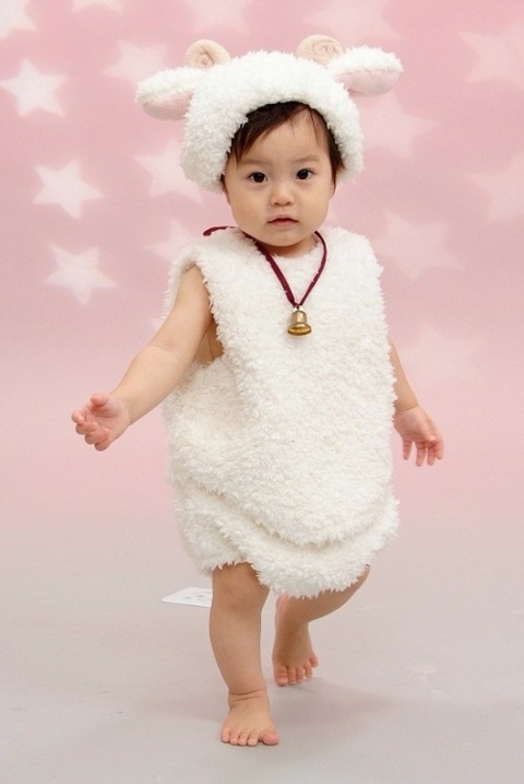 羊衣装 年賀状撮影お済ですか 年内仕上がり最終日は２３日です 秋田 広面店 秋田県 七五三 お宮参りの記念写真ならスタジオマリオ