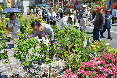 ｽﾀｼﾞｵﾏﾘｵ山形馬見ヶ崎店から約分 植木市へgo 山形 馬見ケ崎店 山形県 七五三 お宮参りの記念写真ならスタジオマリオ