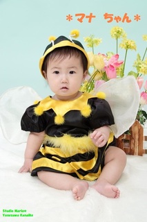 可愛いミツバチさん★