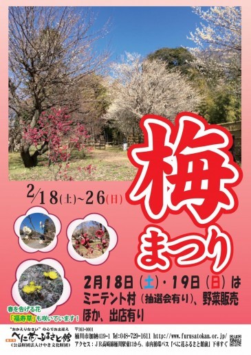 桶川市イベント 梅まつり べにばなふるさと館 2月18 26日 上尾 井戸木店 埼玉県 七五三 お宮参りの記念写真ならスタジオマリオ