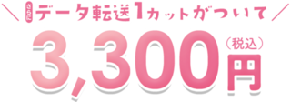 3300円.png