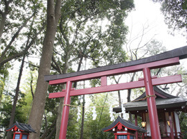 七五三お参りにオススメ 相州春日神社 スタジオマリオイオン戸塚店 戸塚 東戸塚店 神奈川県 七五三 お宮参りの記念写真ならスタジオマリオ 七五三お参りにオススメ 相州春日神社 スタジオマリオイオン戸塚店 戸塚 東戸塚店 神奈川県 七五三 お宮参りの記念写真ならスタジオマリオ