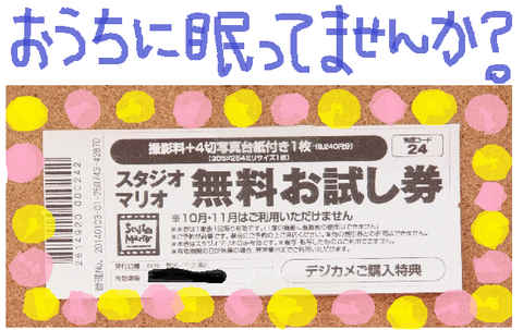 カメラのキタムラ スタジオマリオ 無料お試し券 2022/1/31まで