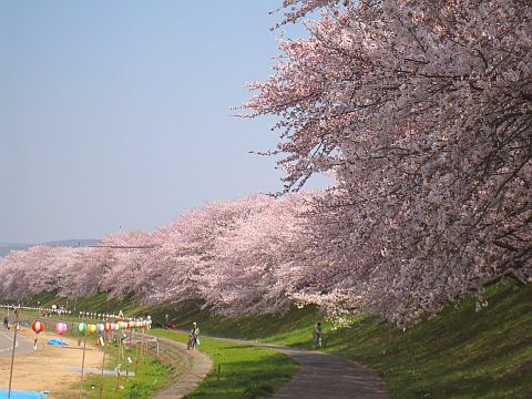 今日から 岡山さくらカーニバル スタジオマリオ岡山高柳店 岡山 高柳店 岡山県 七五三 お宮参りの記念写真ならスタジオマリオ 今日から 岡山さくらカーニバル スタジオマリオ岡山高柳店 岡山 高柳店 岡山県 七五三 お宮参りの記念写真ならスタジオマリオ