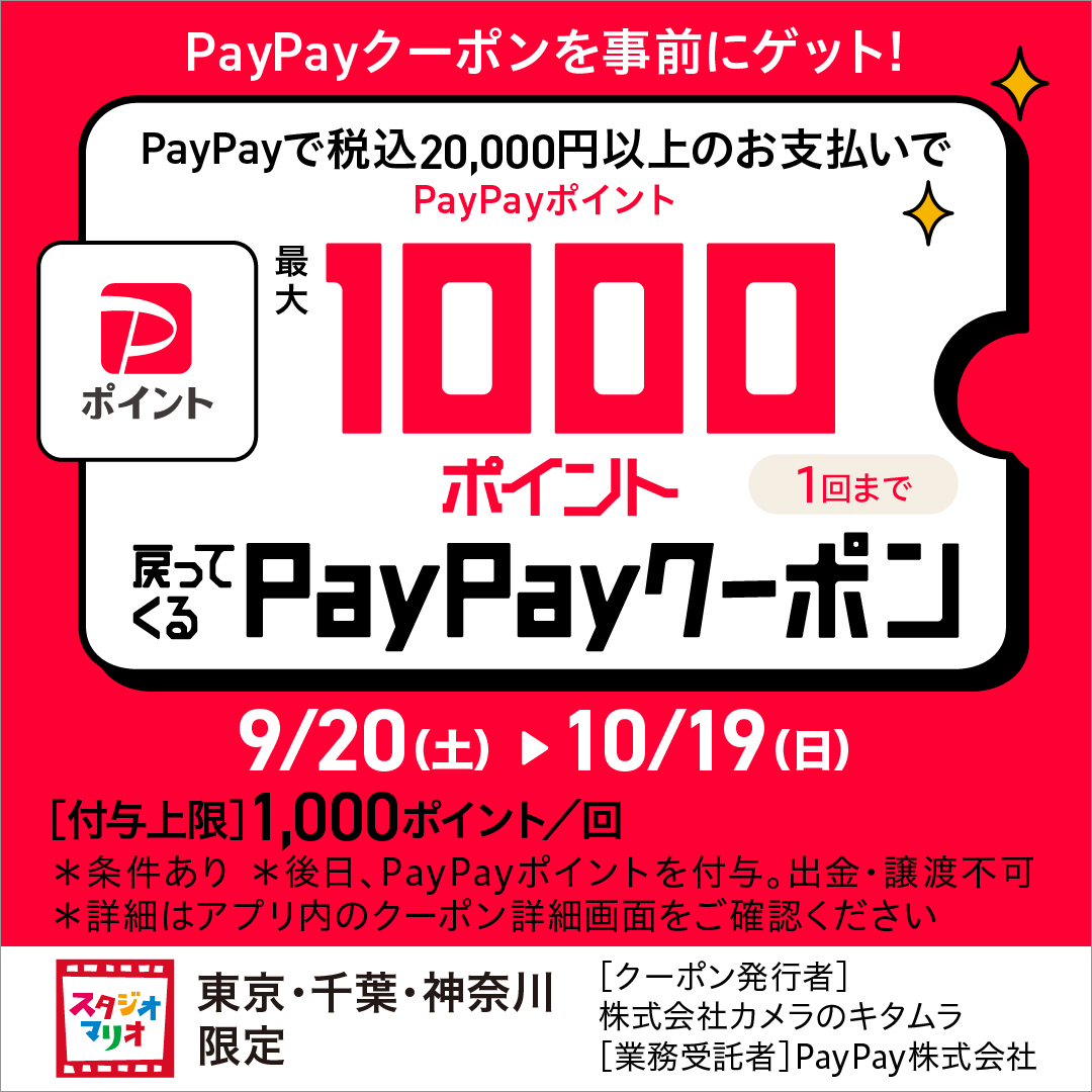 PayPayダミー画像
