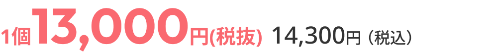 通常価格13,000円（税抜）14,300円（税込）