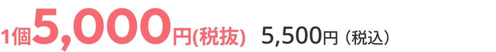通常価格5,000円（税抜）5,500円（税込）
