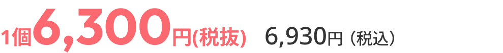通常価格6,300円（税抜）6,930円（税込）