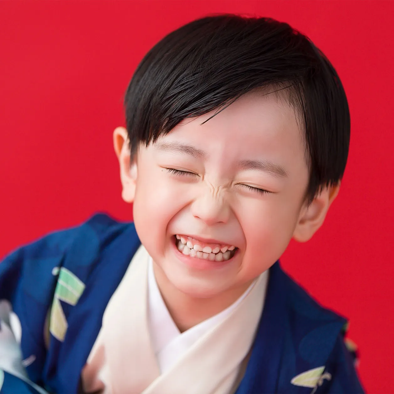 フォトギャラリー