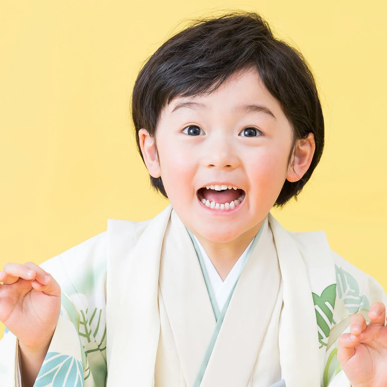 フォトギャラリー