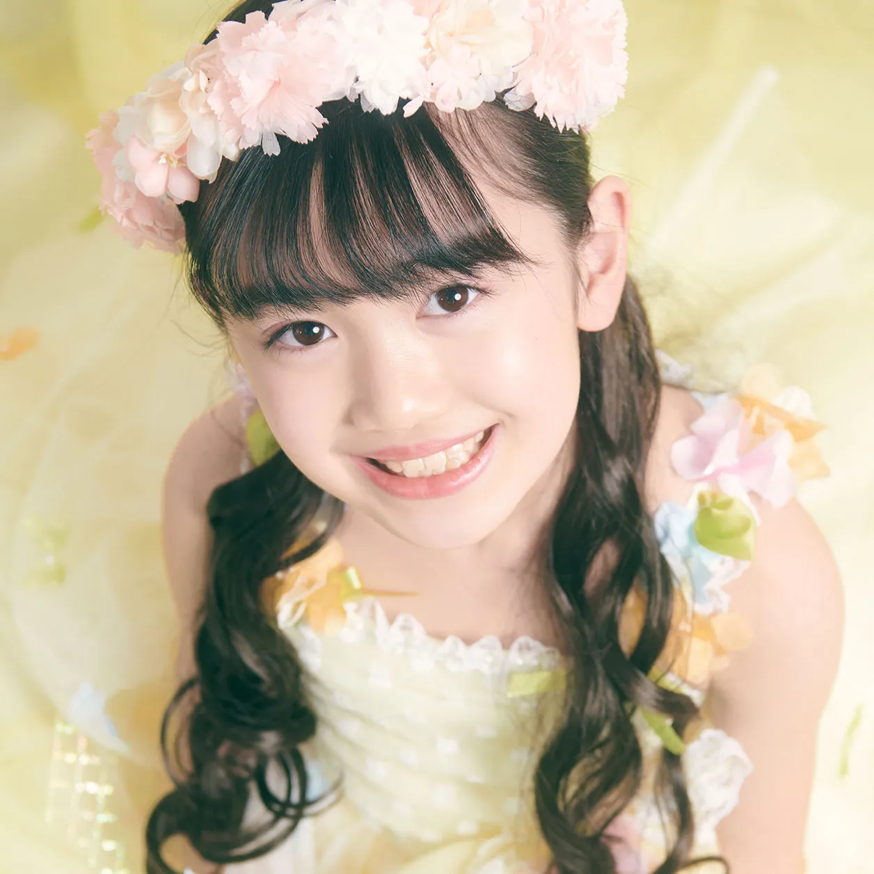 フォトギャラリー