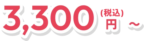 3,300円（税込）