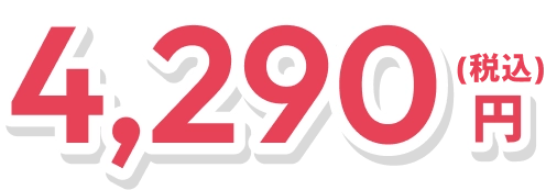 4,290円(税込み)