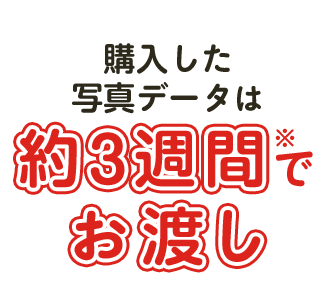 購入した写真データは約3週間でお渡し