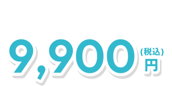 9,900円（税込）