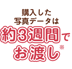 購入したデータは約３週間でお渡し