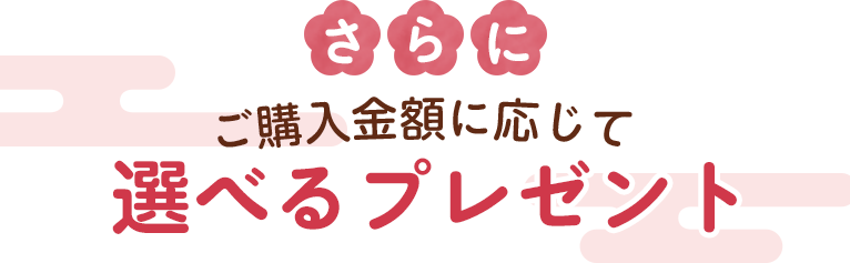 さらにご購入金額に応じて選べるプレゼント