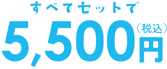 すべてセットで税込5,500円