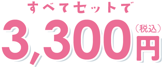 すべてセットで税込3,300円