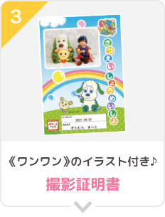 いないいないばあっ なかよしフォトパック スタジオマリオ スタジオマリオ いないいないばあっ なかよしフォトパック スタジオマリオ スタジオマリオ