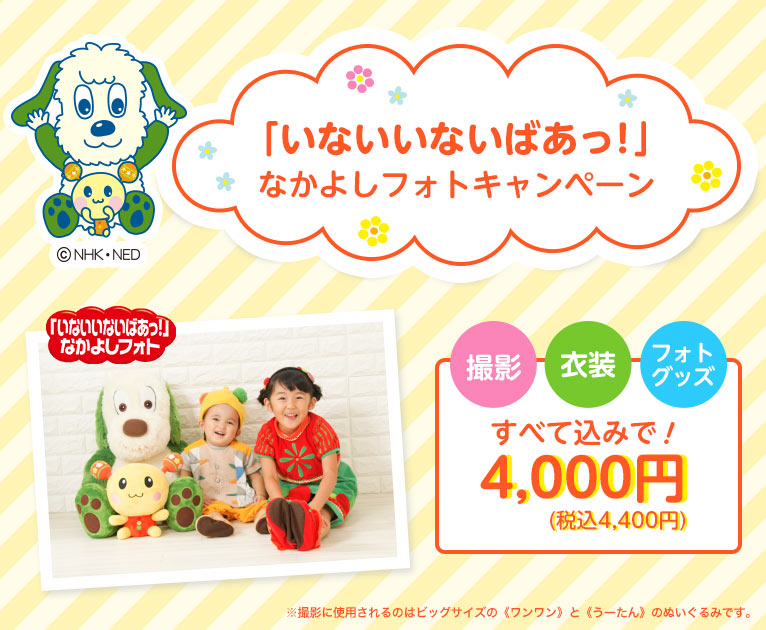 いないいないばあっ なかよしフォトキャンペーン スタジオマリオ いないいないばあっ なかよしフォトキャンペーン スタジオマリオ