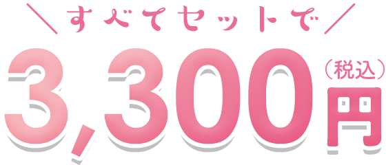 すべてセットで税込3,300円