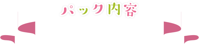 パック内容