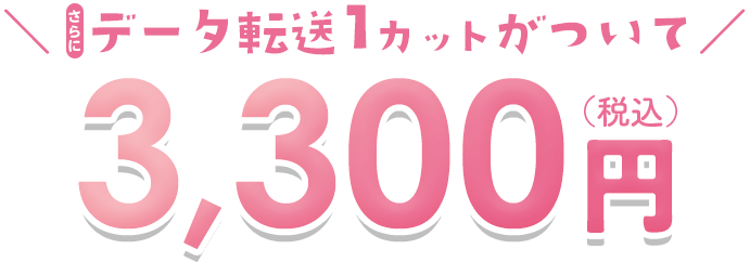 さらにデータ1カット付きで税込3,300円