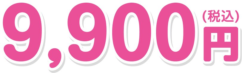 9,900円(税込)