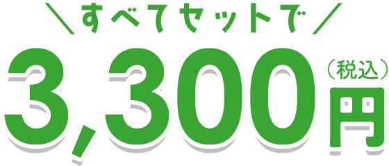 すべてセットで税込3,300円