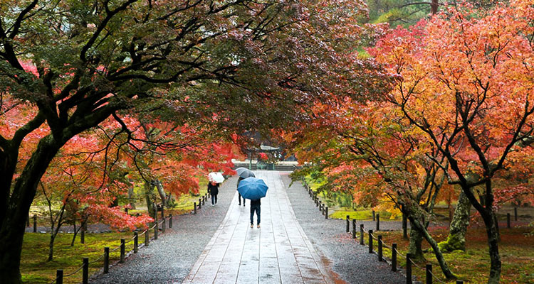 七五三参り当日が雨でも慌てないための虎の巻