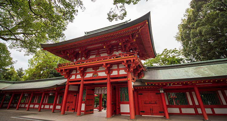 埼玉県で七五三ならここ おすすめの神社 お寺 参拝先の選び方 スタジオマリオ