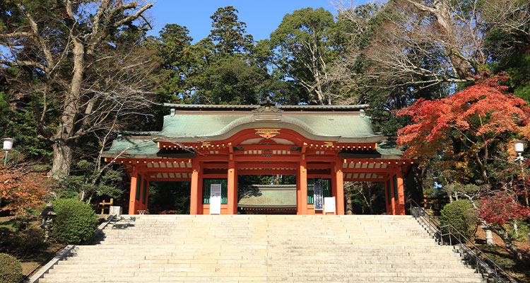 千葉県の七五三｜おすすめの神社・お寺13選