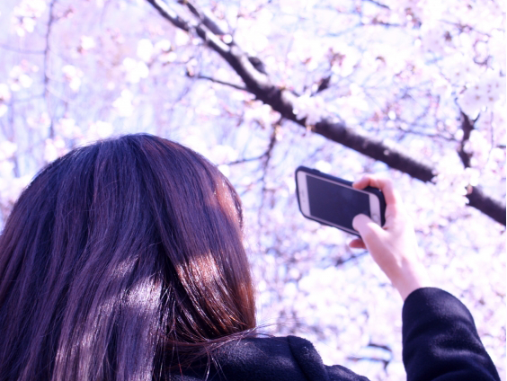 入園式・入学式で失敗しないスマホ撮影