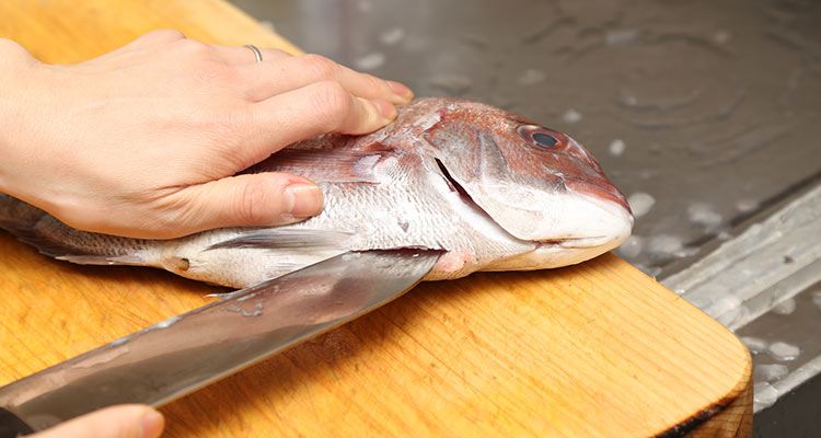 お宮参りとお食い初めを同じ日にお祝いするなら 1日の流れとポイントを解説 スタジオマリオ お宮参りとお食い初めを同じ日にお祝いするなら 1日の流れとポイントを解説 スタジオマリオ