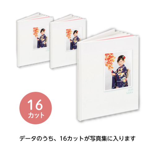 モアピクチャーズコレクション(16カット)3冊