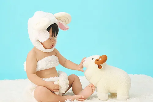 ひつじさん